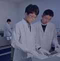 权威顾问